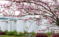 龙城四月天，最美在司能